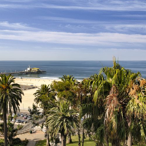 A coastal scene with palm trees, a sandy beach, and a pier extending into the ocean under a blue sky.