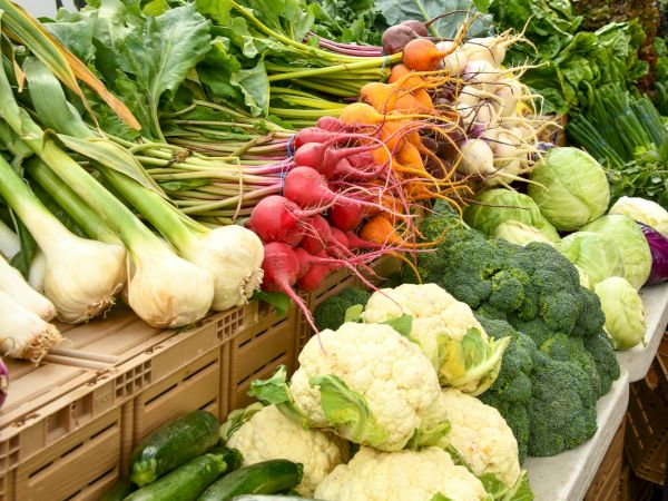 A colorful assortment of fresh vegetables on display, including beets, broccoli, cauliflower, cabbages, zucchini, and more.