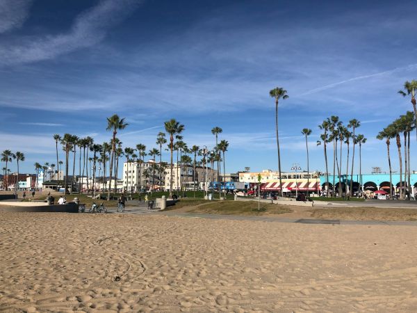 A sandy beach with palm trees, buildings, and people in the background under a blue sky.