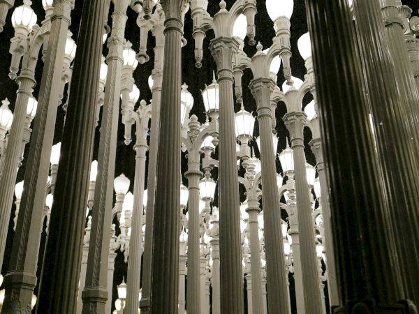 The image shows numerous tall, closely placed street lamps lit at night, creating a pathway of light.
