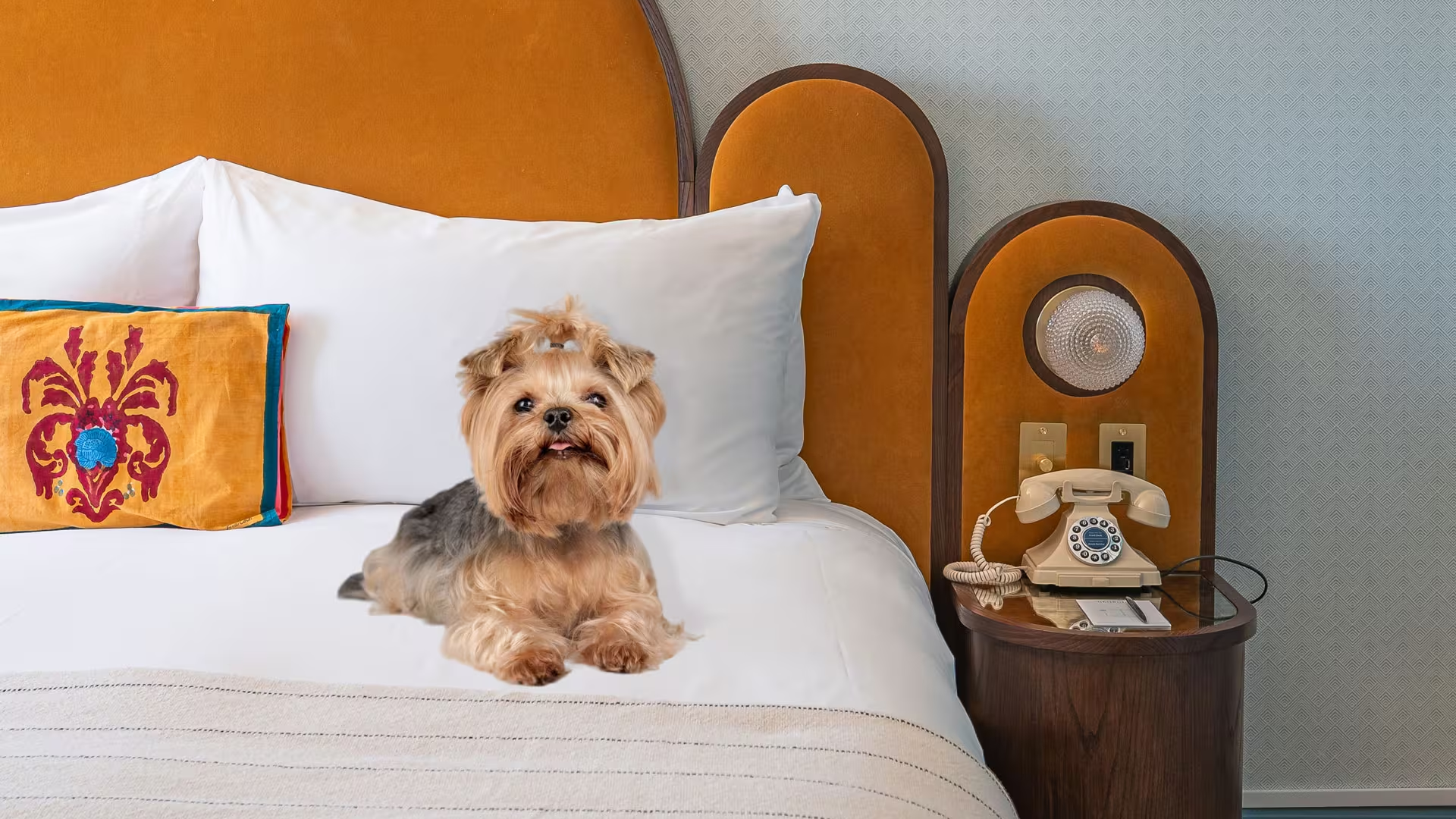 A small dog sits on a neatly made bed next to an ornate pillow, with a vintage phone on a bedside table nearby.