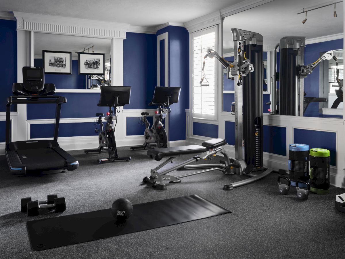 A sleek home gym with treadmills, a power rack, weight plates, a bench, a yoga mat, and mirrors reflecting blue walls and natural light. END.