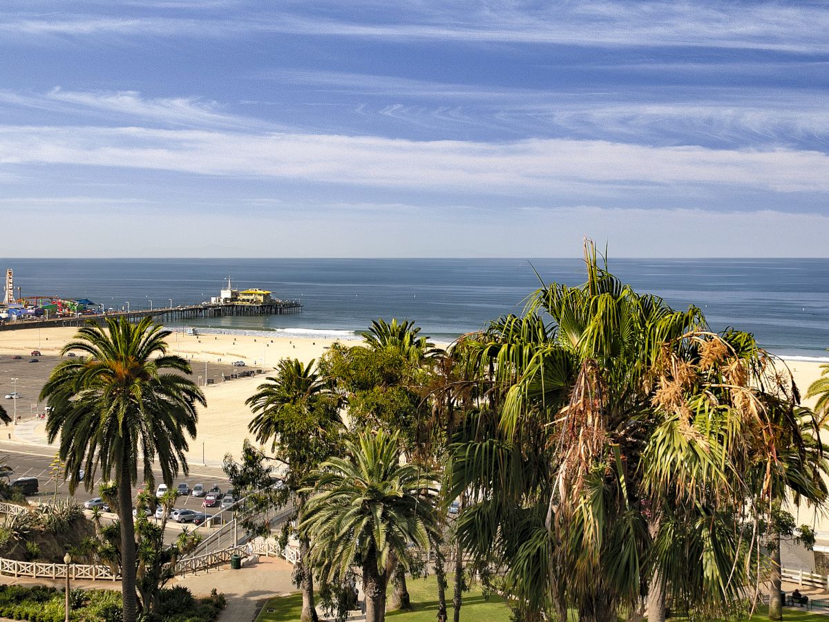 A sunny beachfront with palm trees, a sandy shore, and a pier stretching into the calm blue ocean under scattered clouds.